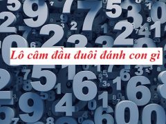 Lô câm đầu đuôi nên đánh con gì cho dễ trúng, lãi cao