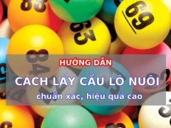 Hướng dẫn cách lấy cầu lô chuẩn xác, hiệu quả